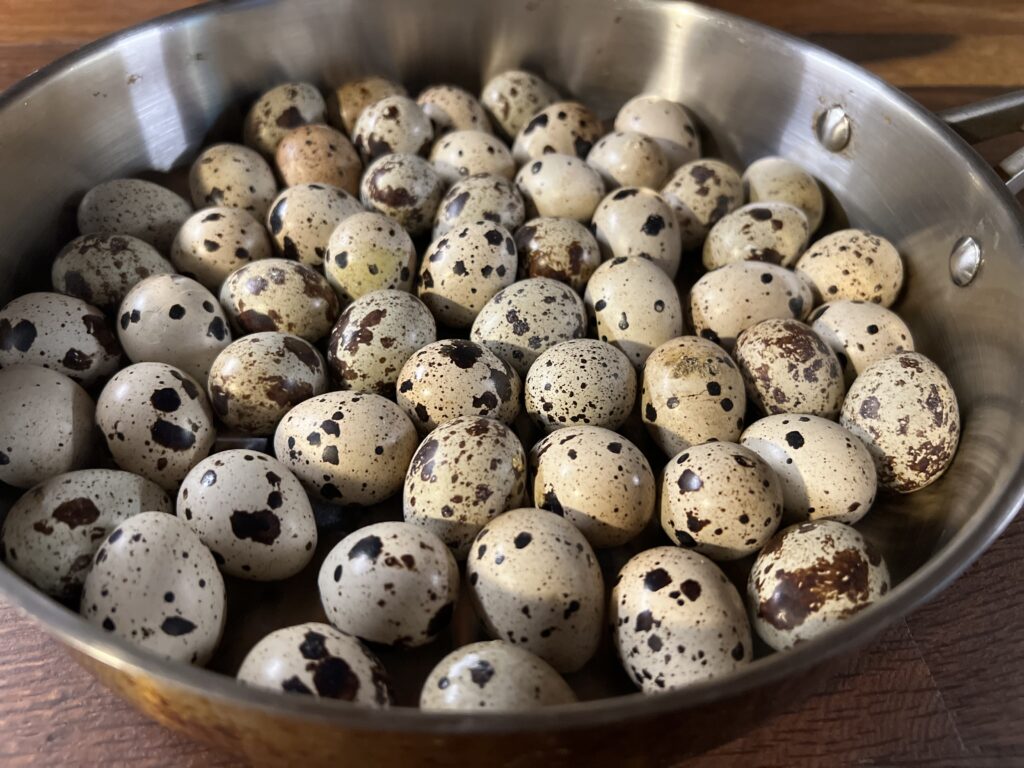 quail eggs