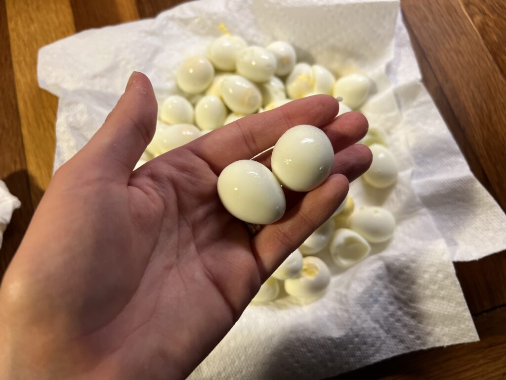 hard boiled quail eggs