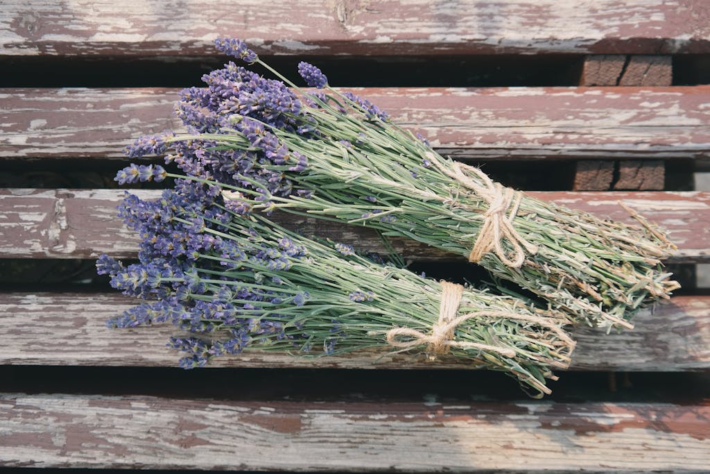 Two Bundle of lavender