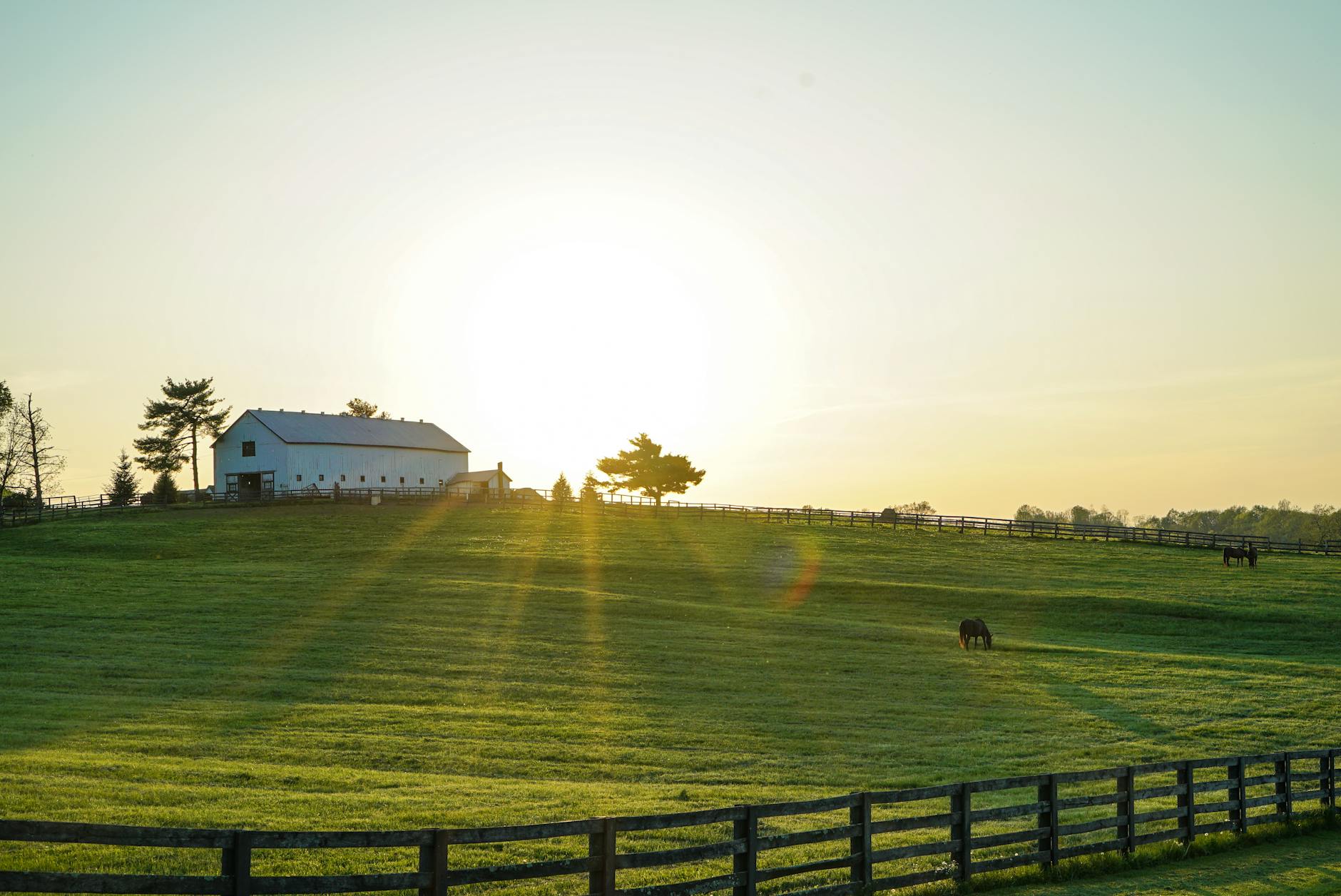 white house beside grass field Kentucky 
