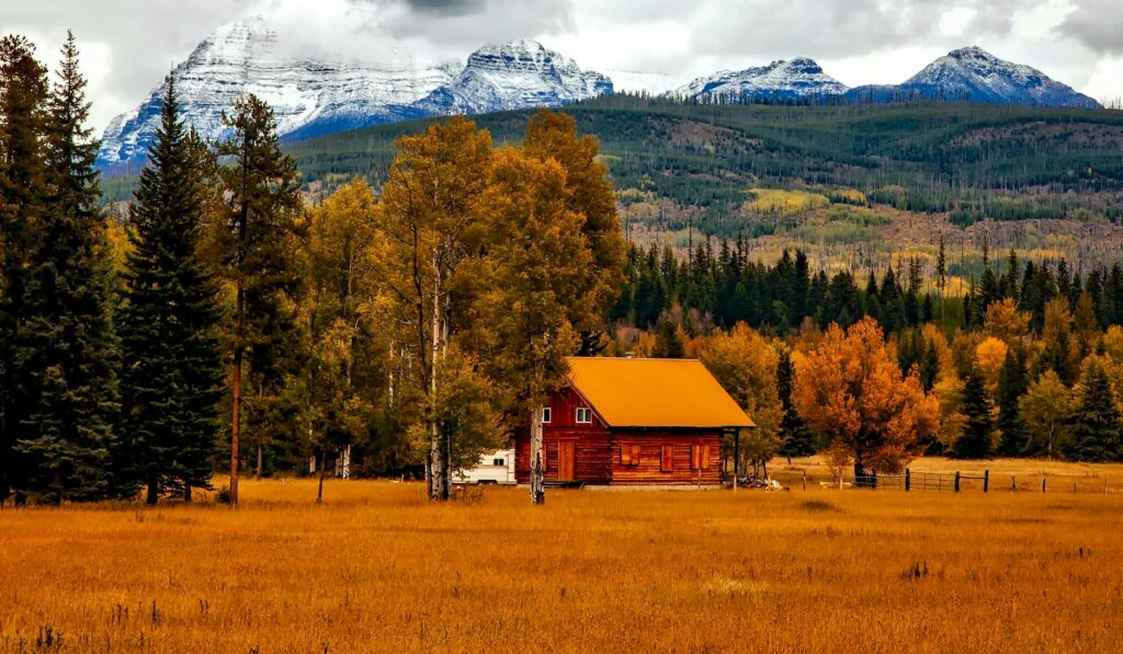 brown cabin near trees and mountains
Best states for homesteading