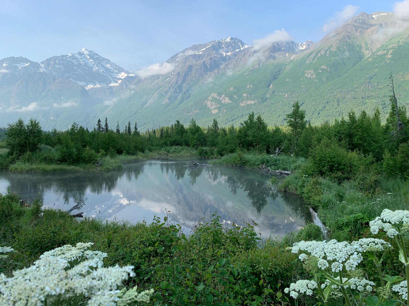 green trees near lake Alaska Best states for homesteading