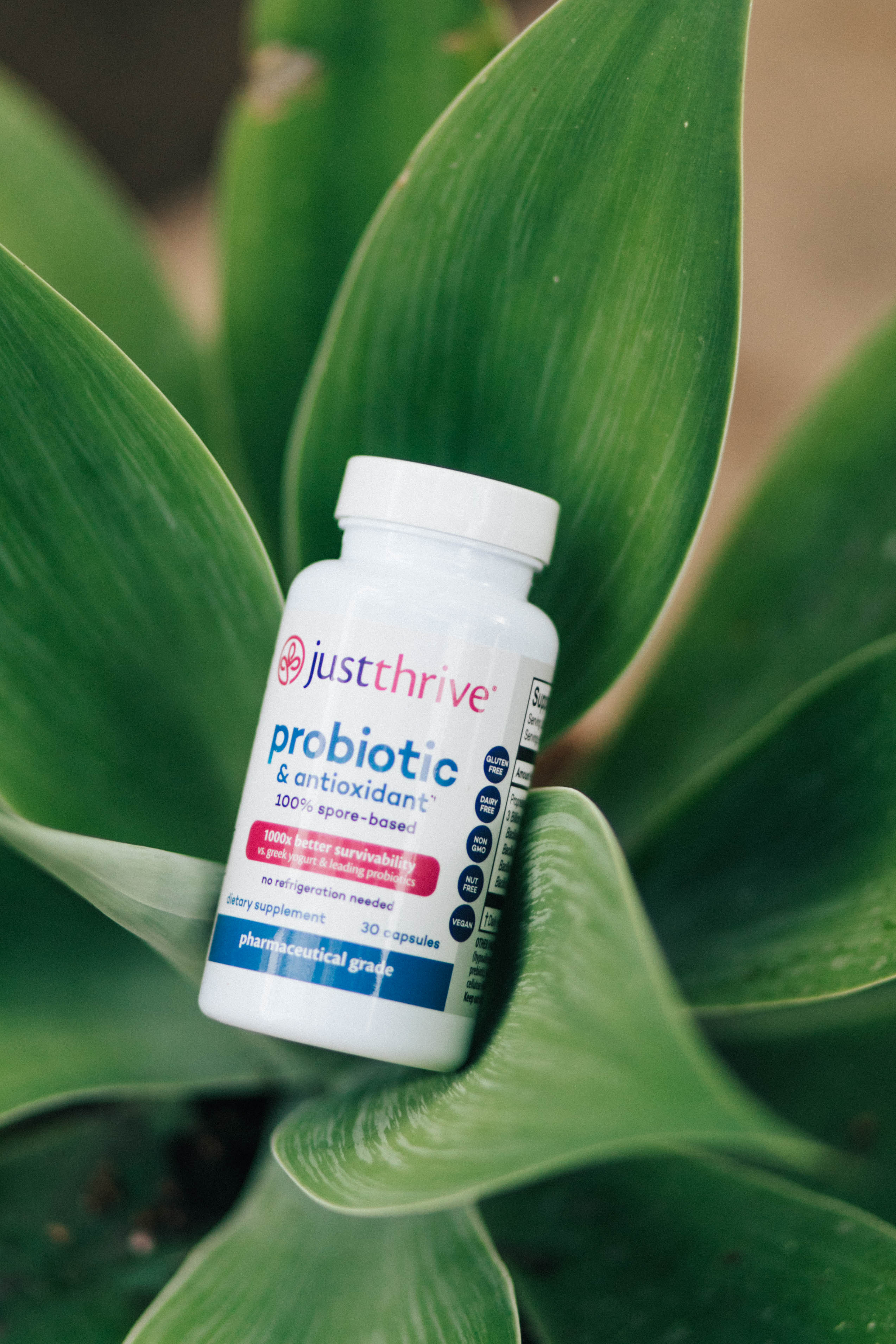 Just Thrive Probiotic